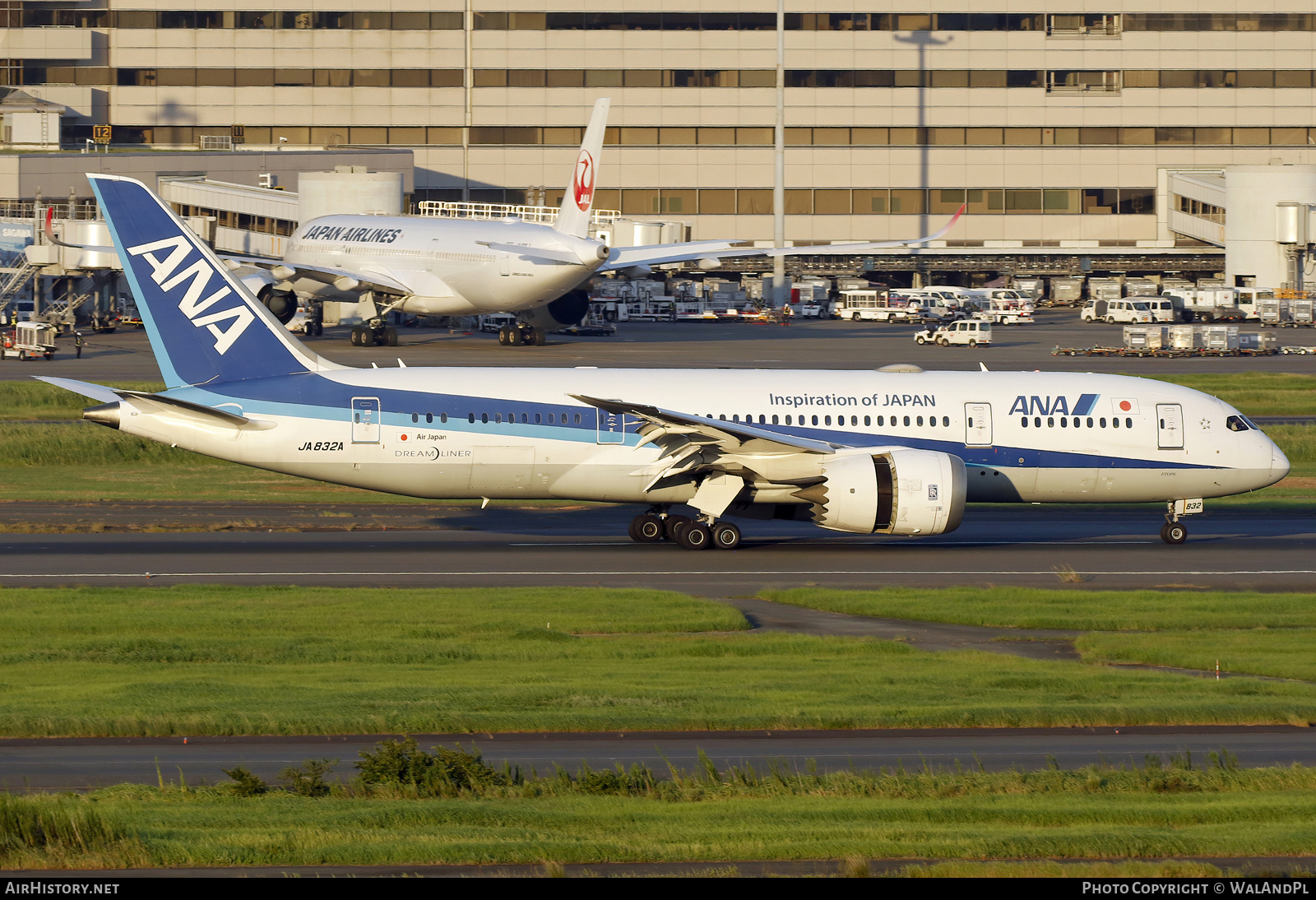 Aircraft Photo of JA832A | Boeing 787-8 Dreamliner | All Nippon Airways - ANA | AirHistory.net #742319