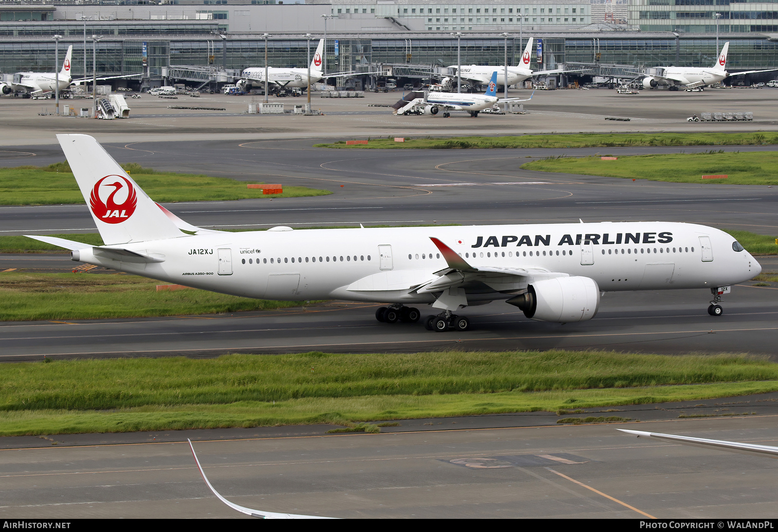 Aircraft Photo of JA12XJ | Airbus A350-941 | Japan Airlines - JAL | AirHistory.net #742698