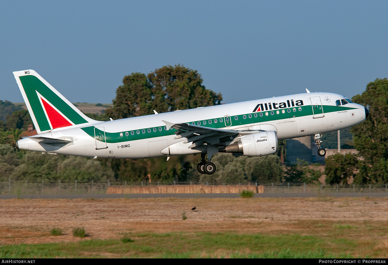 Aircraft Photo of I-BIMG | Airbus A319-112 | Alitalia | AirHistory.net #743146