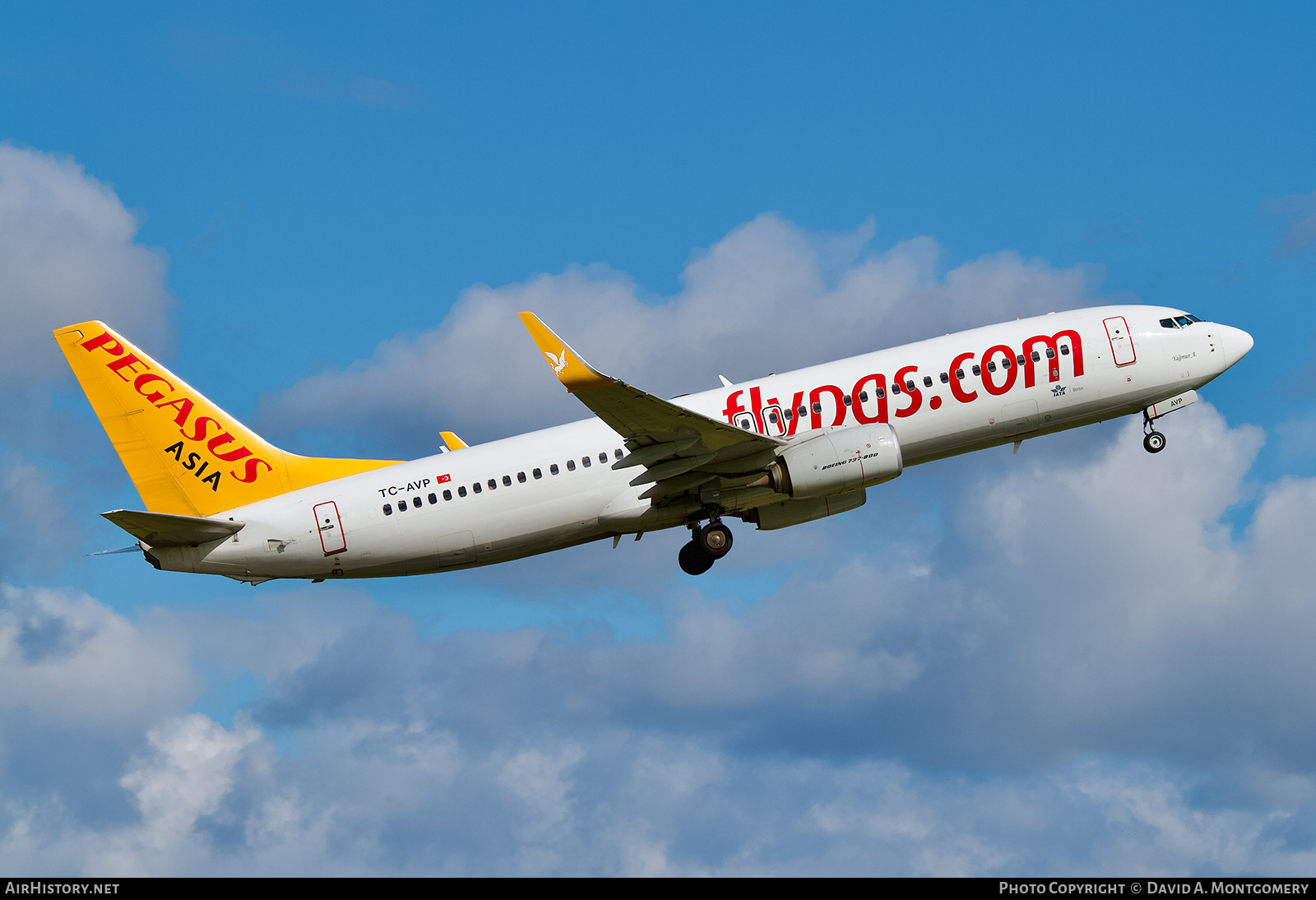 Aircraft Photo of TC-AVP | Boeing 737-82R | Pegasus Asia | AirHistory.net #743430
