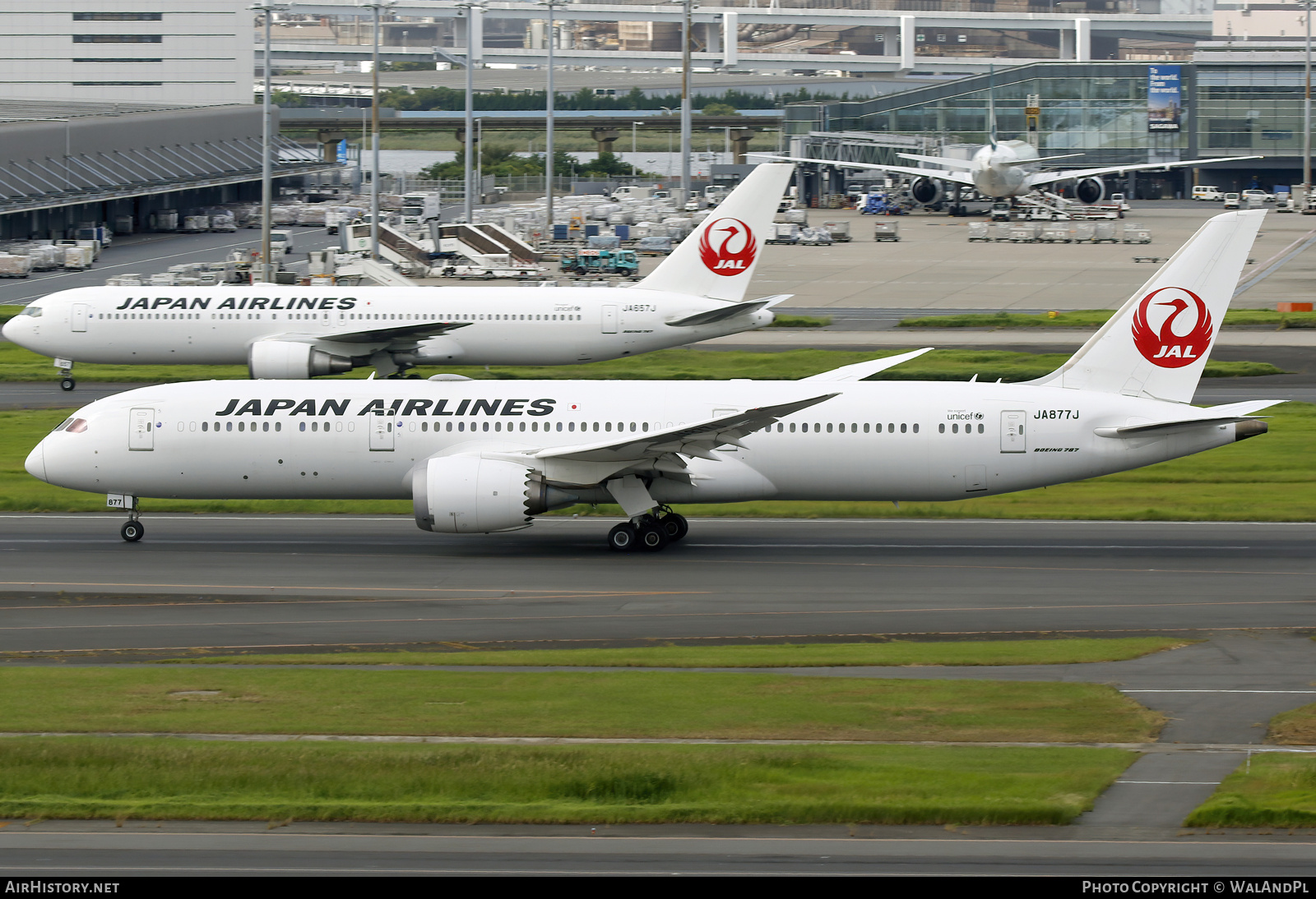 Aircraft Photo of JA877J | Boeing 787-9 Dreamliner | Japan Airlines - JAL | AirHistory.net #743451
