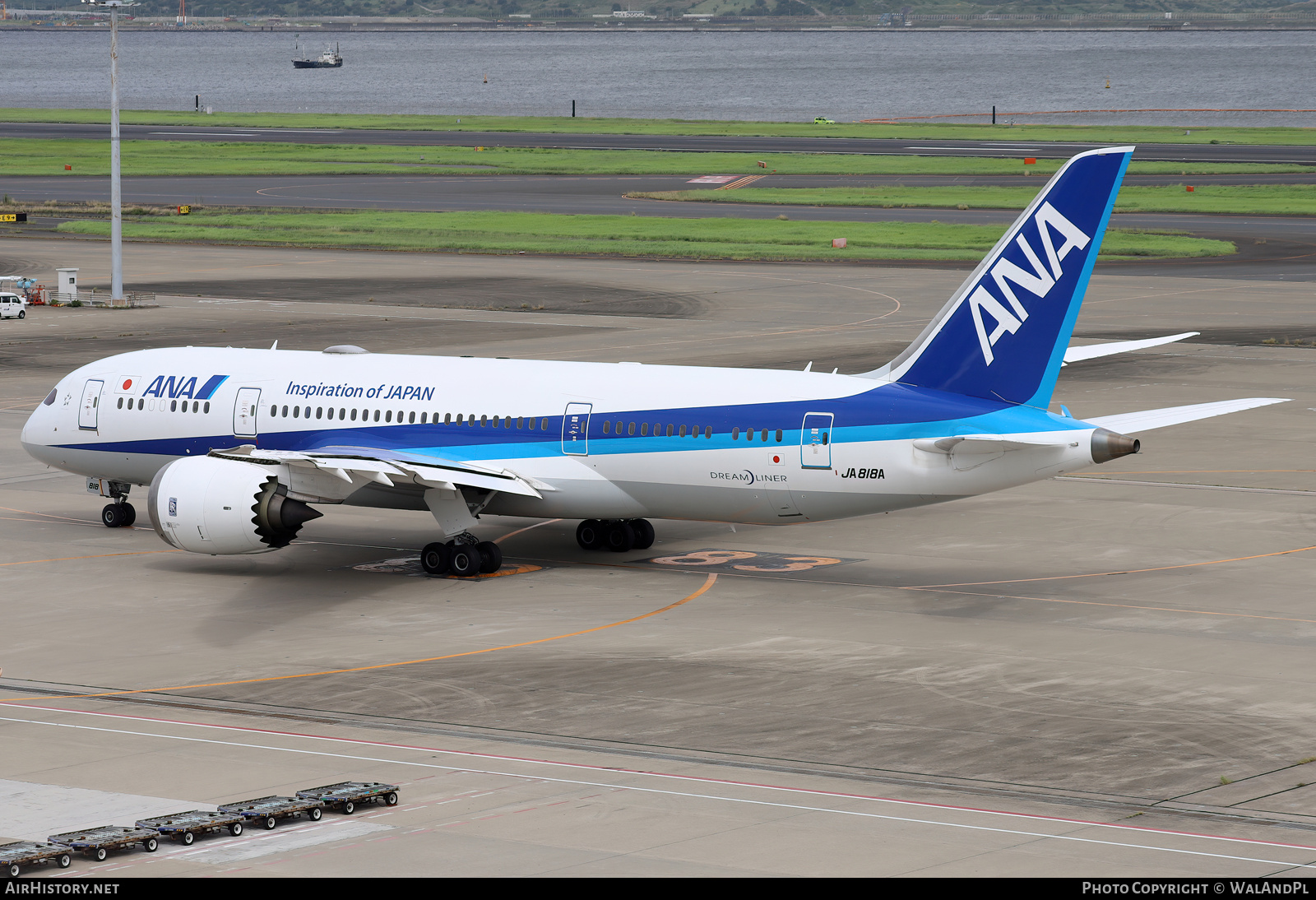 Aircraft Photo of JA818A | Boeing 787-8 Dreamliner | All Nippon Airways - ANA | AirHistory.net #743476