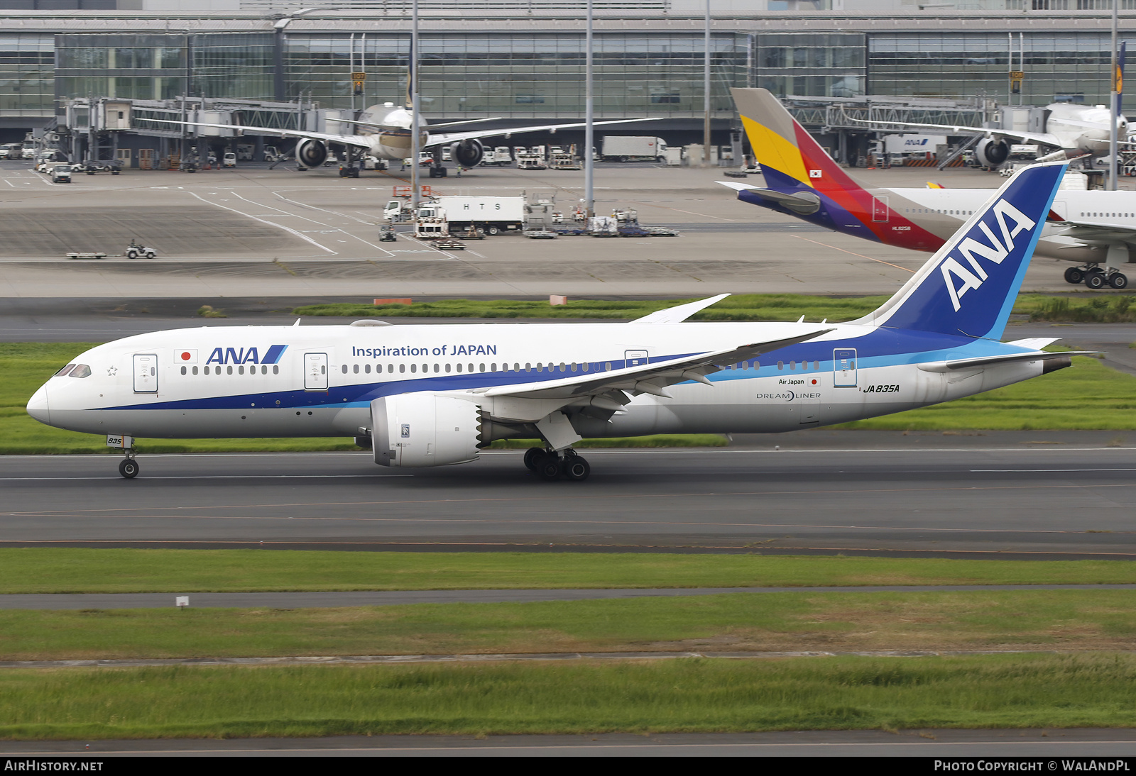 Aircraft Photo of JA835A | Boeing 787-8 Dreamliner | All Nippon Airways - ANA | AirHistory.net #743478