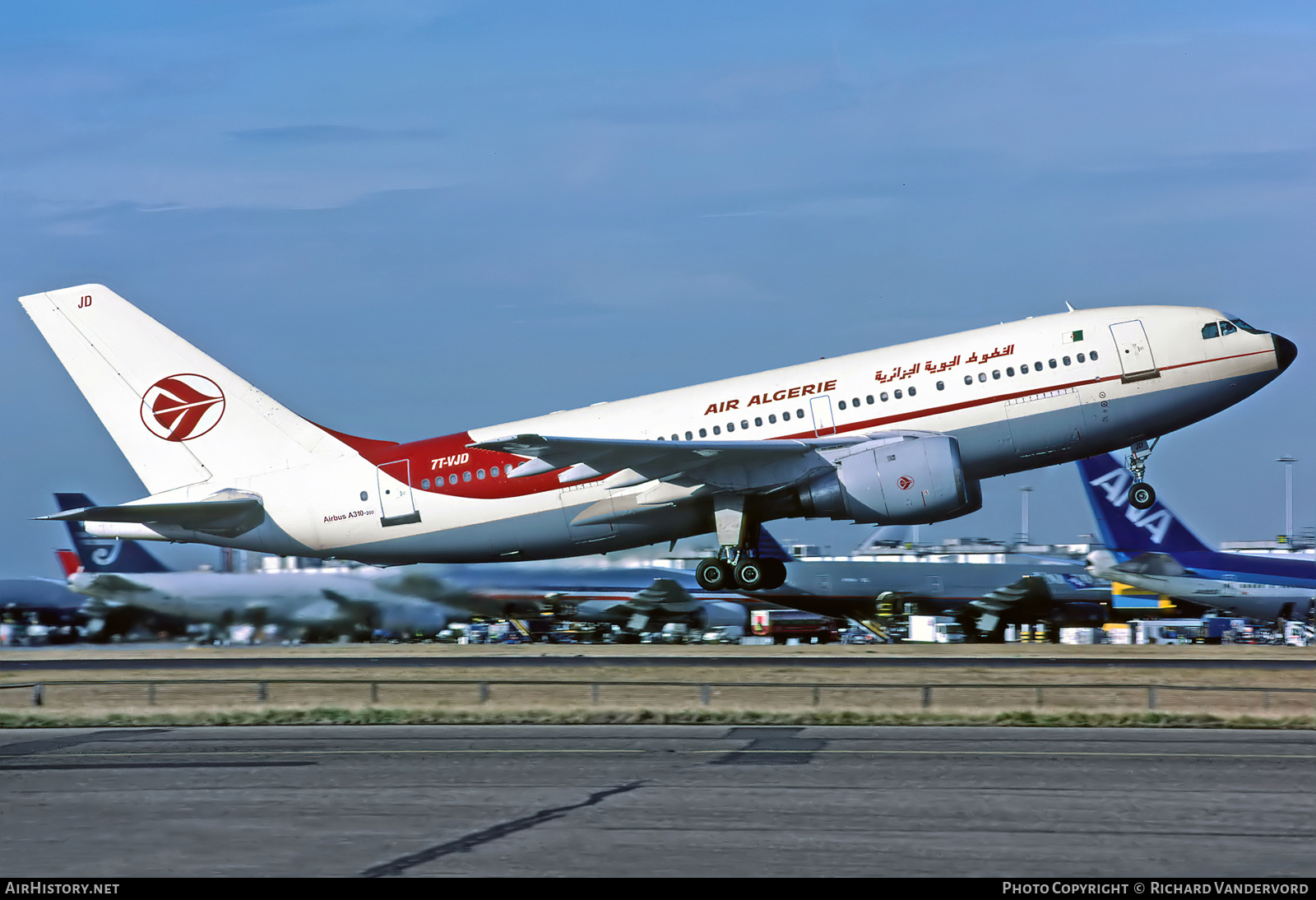 Aircraft Photo of 7T-VJD | Airbus A310-203 | Air Algérie | AirHistory.net #743880