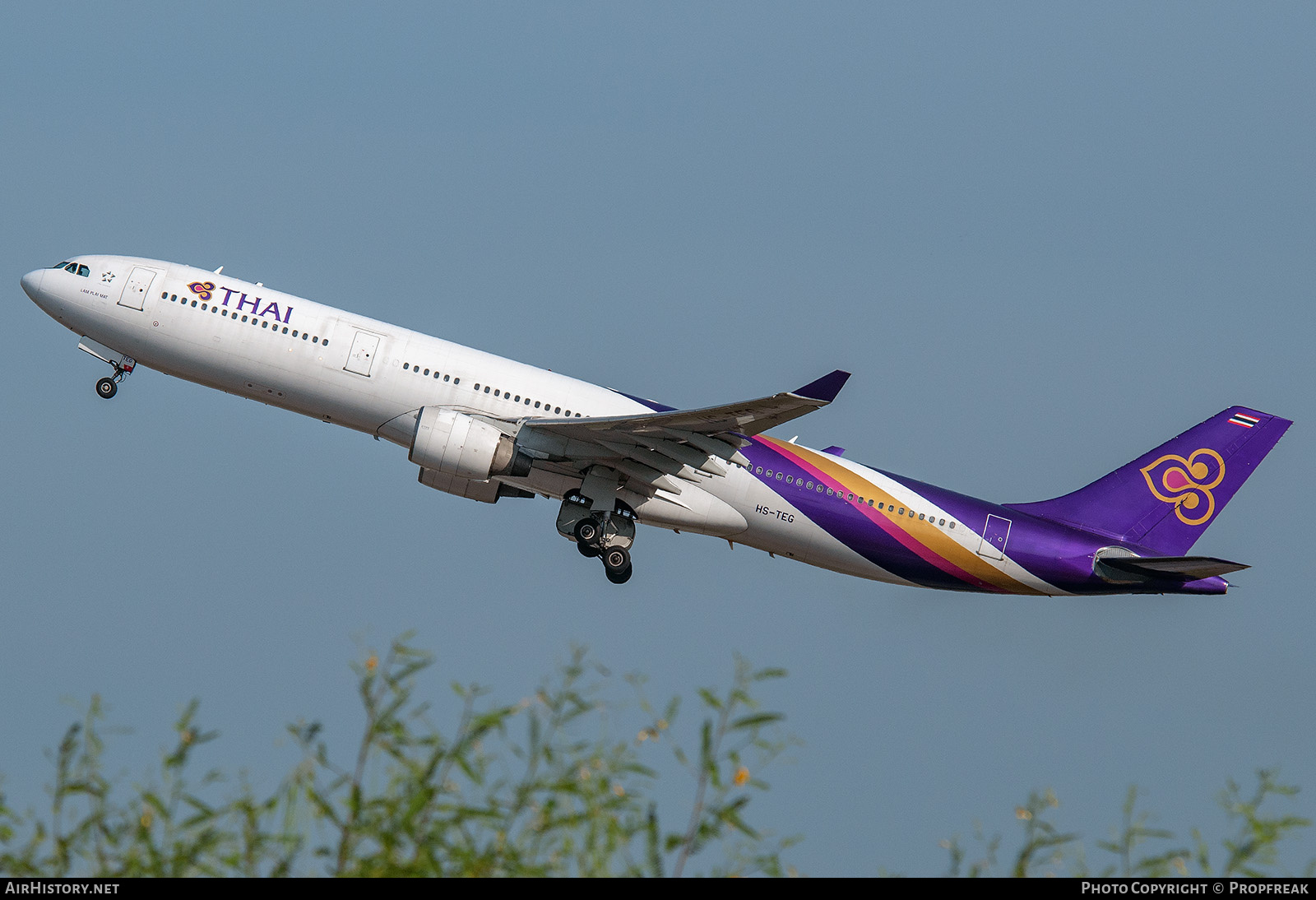 Aircraft Photo of HS-TEG | Airbus A330-321 | Thai Airways International | AirHistory.net #744423