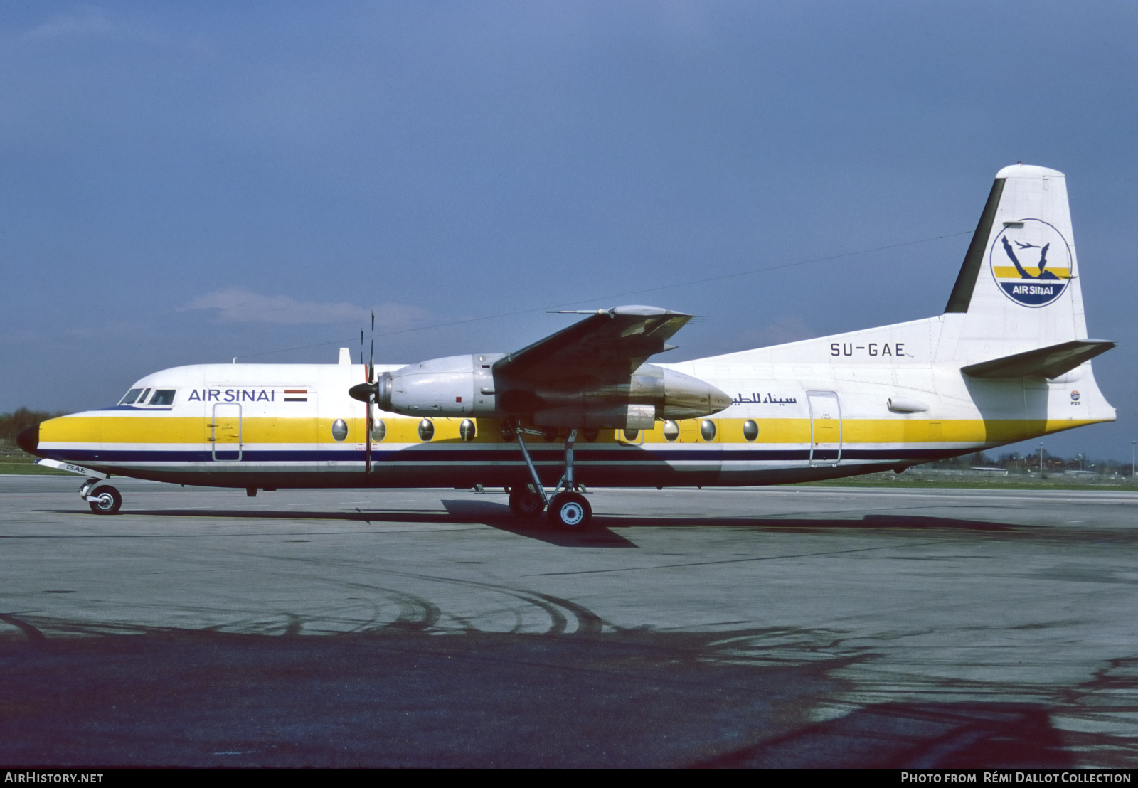 Aircraft Photo of SU-GAE | Fokker F27-500 Friendship | Air Sinai | AirHistory.net #744760