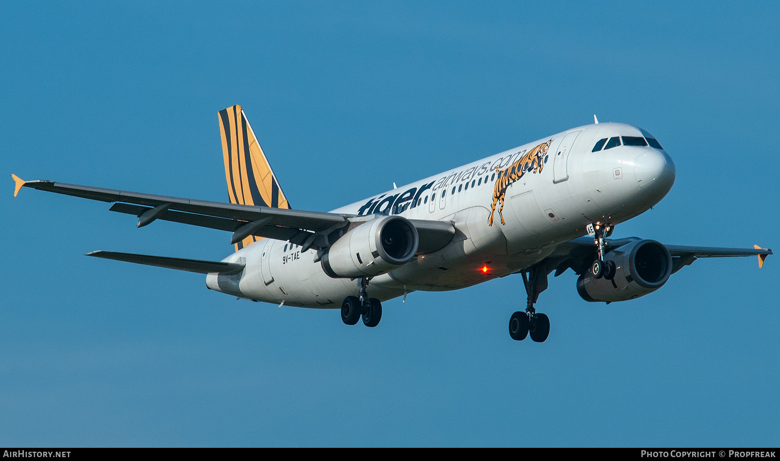 Aircraft Photo of 9V-TAE | Airbus A320-232 | Tiger Airways | AirHistory.net #745962
