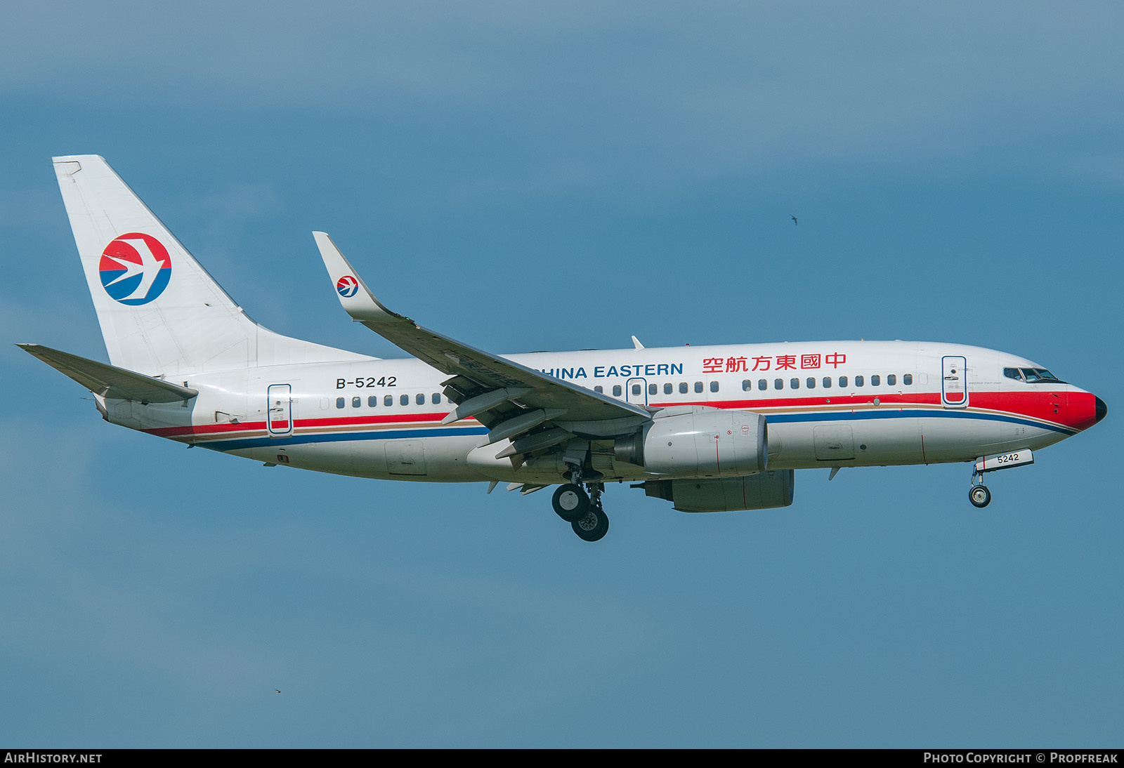 Aircraft Photo of B-5242 | Boeing 737-79P | China Eastern Airlines | AirHistory.net #746371
