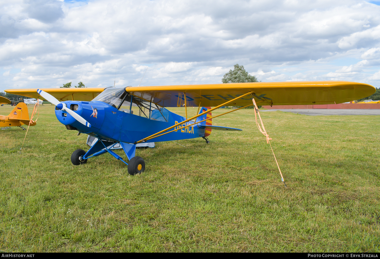 Aircraft Photo of D-EHCK | Piper PA-18-95 Super Cub | AirHistory.net #748735