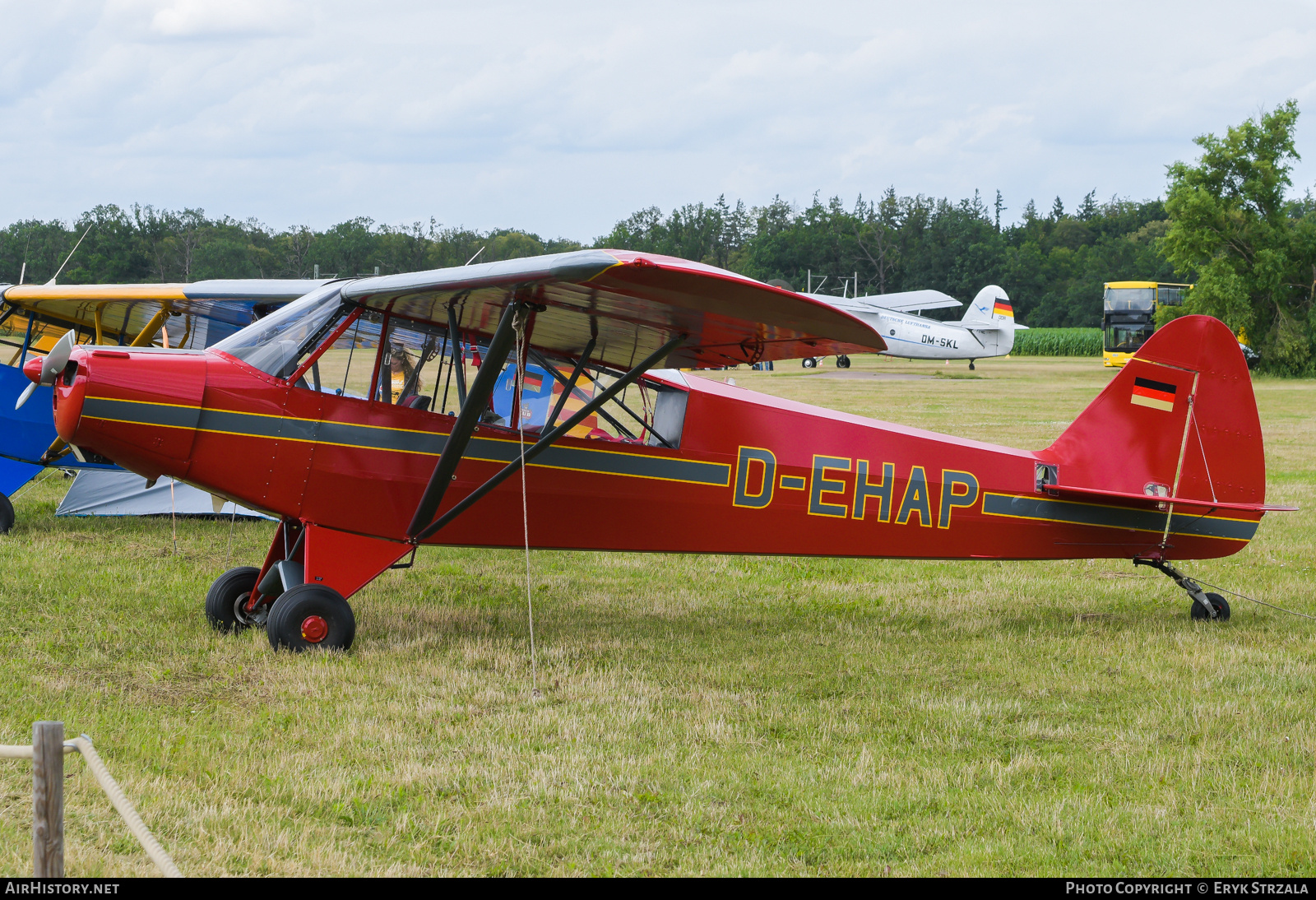 Aircraft Photo of D-EHAP | Piper PA-18-95 Super Cub | AirHistory.net #749067