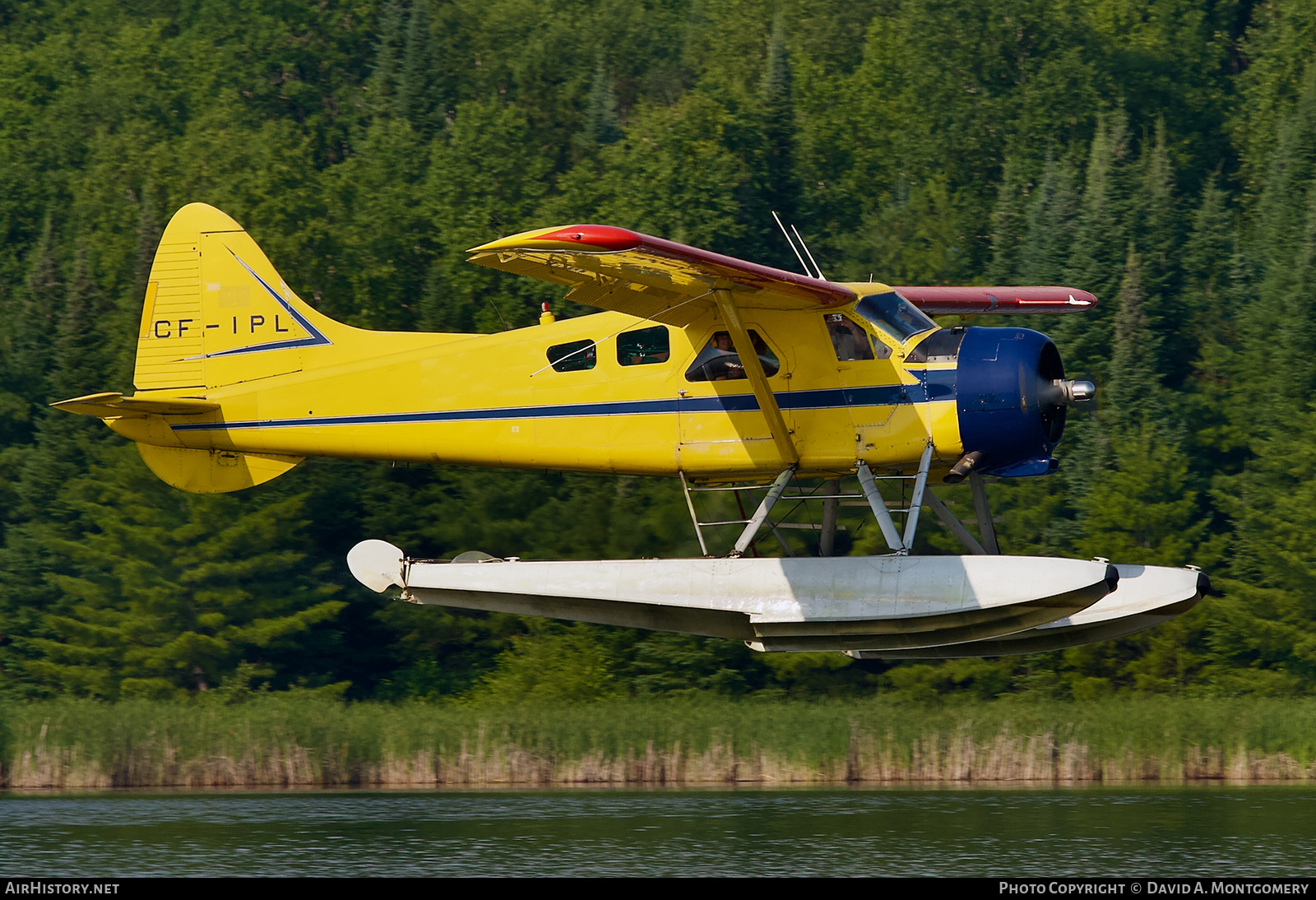 Aircraft Photo of CF-IPL | De Havilland Canada DHC-2 Beaver Mk.1 | Atikokan Aero Service | AirHistory.net #753605