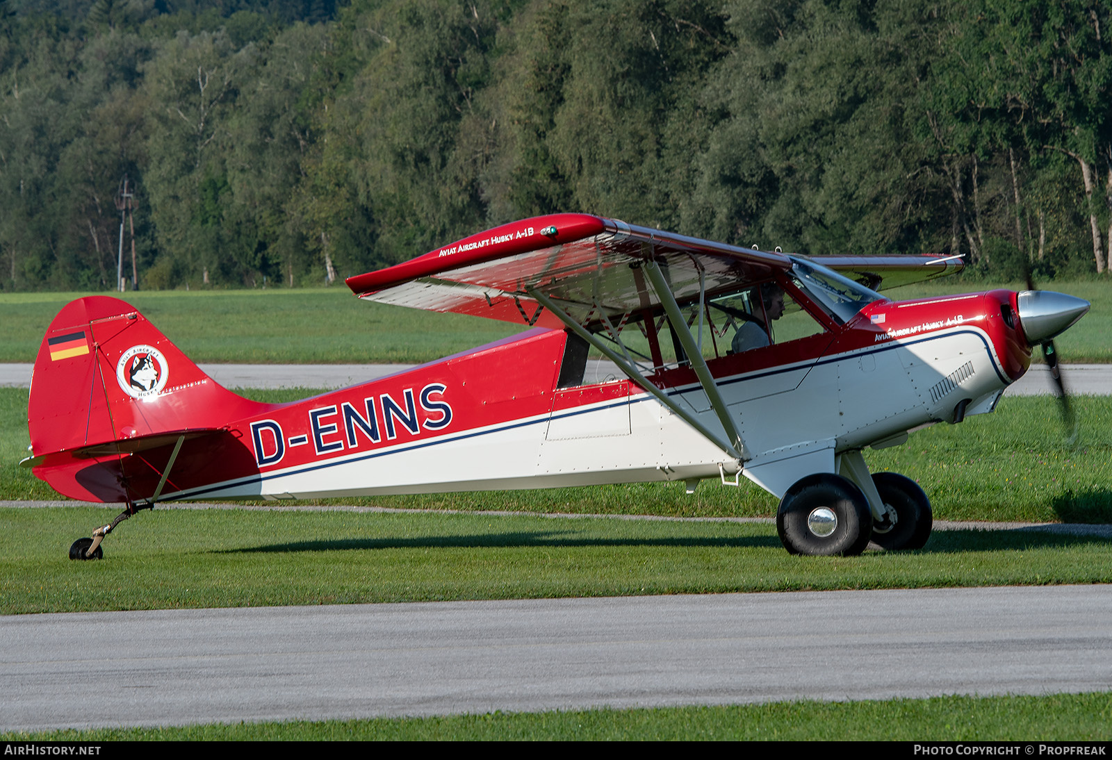 Aircraft Photo of D-ENNS | Aviat A-1B Husky | AirHistory.net #754347