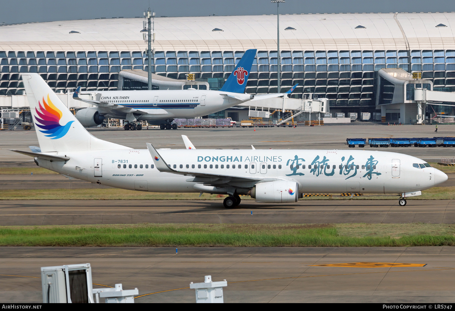Aircraft Photo of B-7631 | Boeing 737-83Z | Donghai Airlines | AirHistory.net #754529