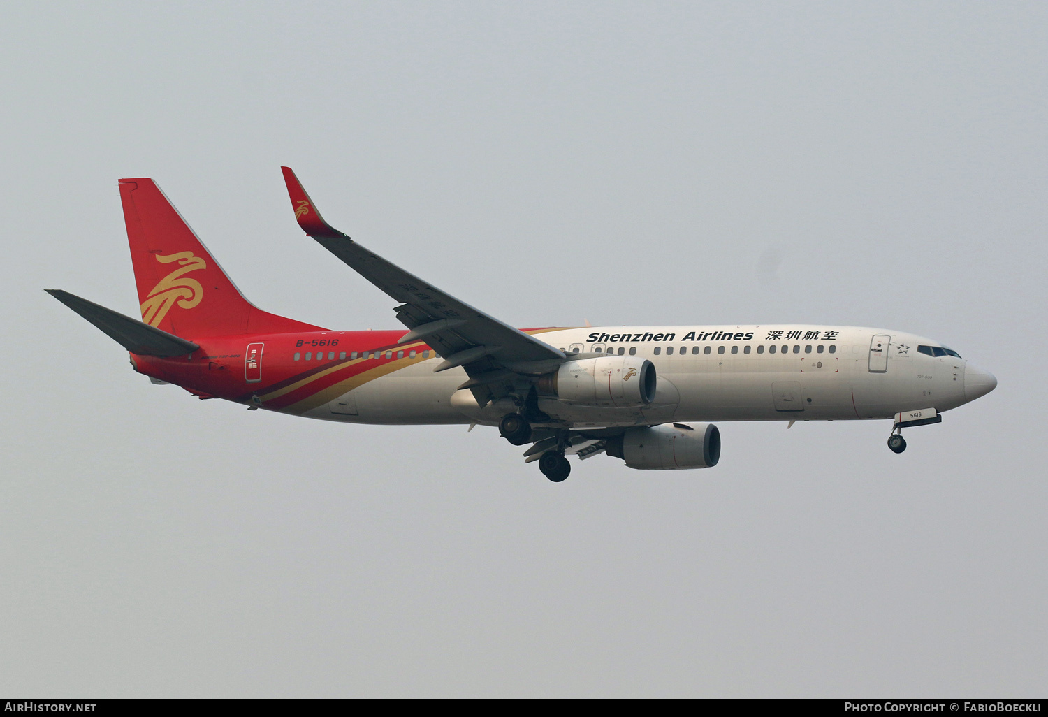 Aircraft Photo of B-5616 | Boeing 737-87L | Shenzhen Airlines | AirHistory.net #756683