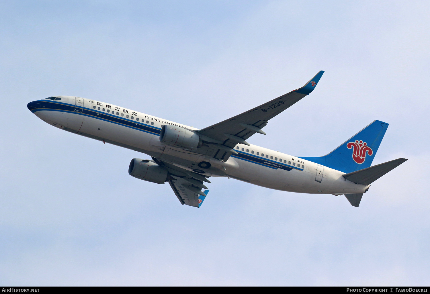 Aircraft Photo of B-1239 | Boeing 737-81B | China Southern Airlines | AirHistory.net #758981