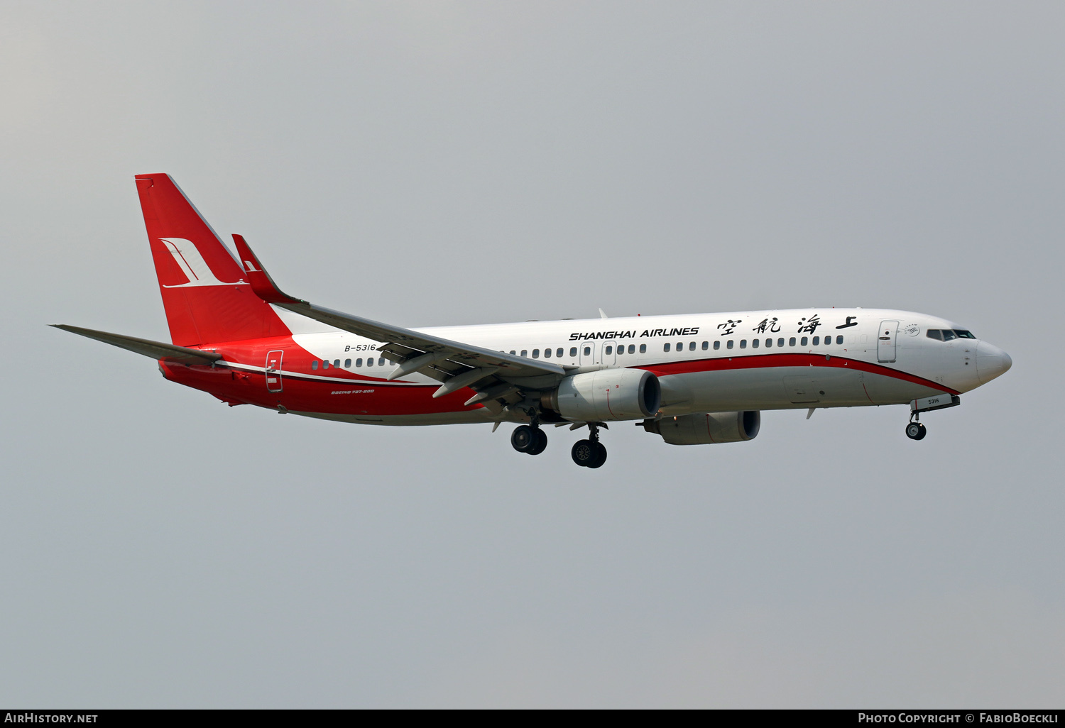 Aircraft Photo of B-5316 | Boeing 737-86D | Shanghai Airlines | AirHistory.net #759353