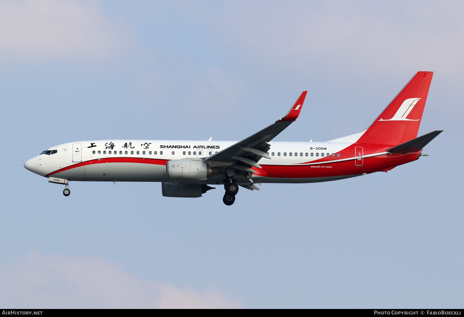 Aircraft Photo of B-206W | Boeing 737-89P | Shanghai Airlines | AirHistory.net #761801