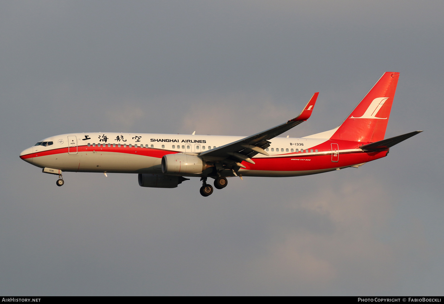 Aircraft Photo of B-1336 | Boeing 737-89P | Shanghai Airlines | AirHistory.net #761939