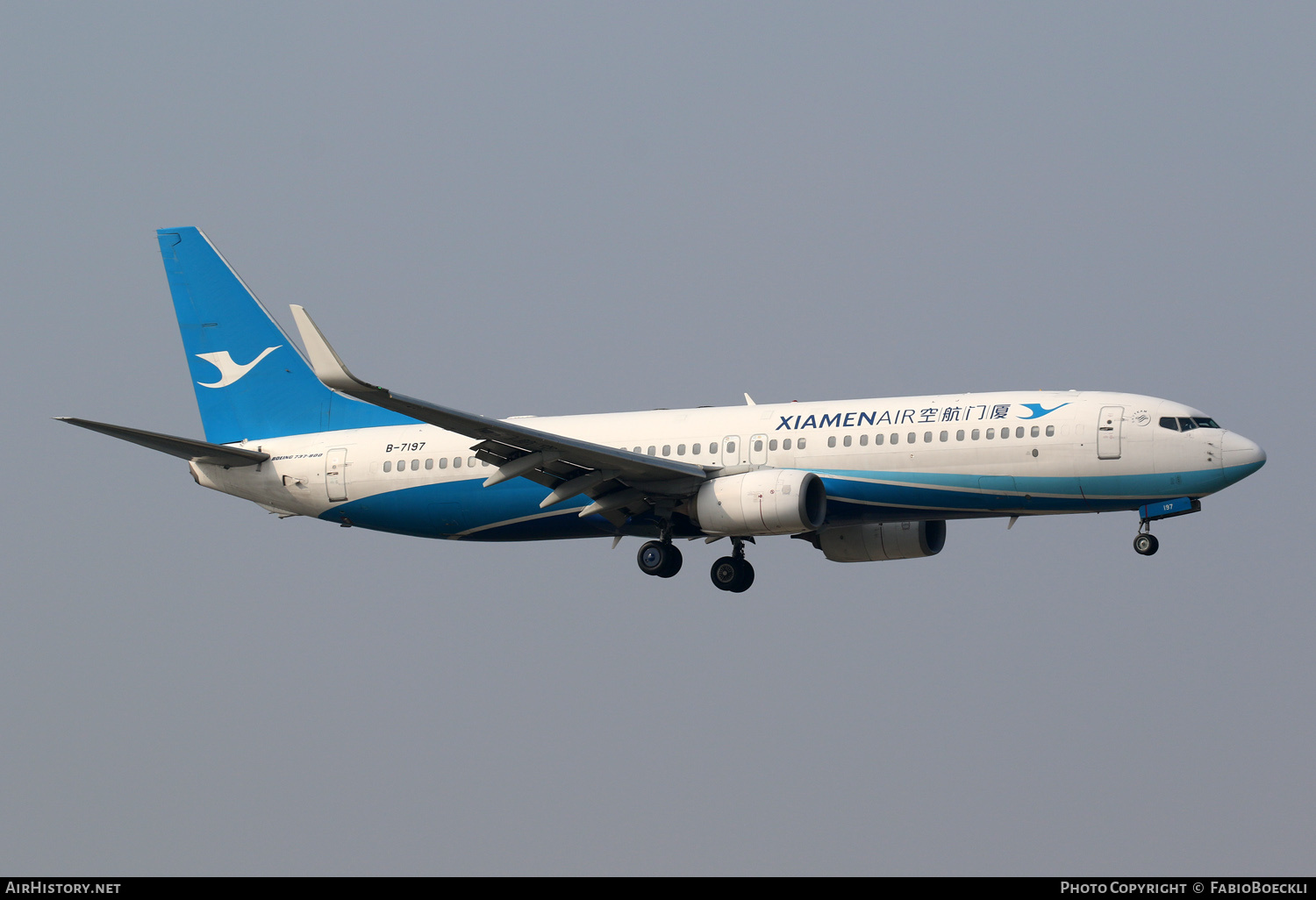 Aircraft Photo of B-7197 | Boeing 737-85C | Xiamen Airlines | AirHistory.net #762207