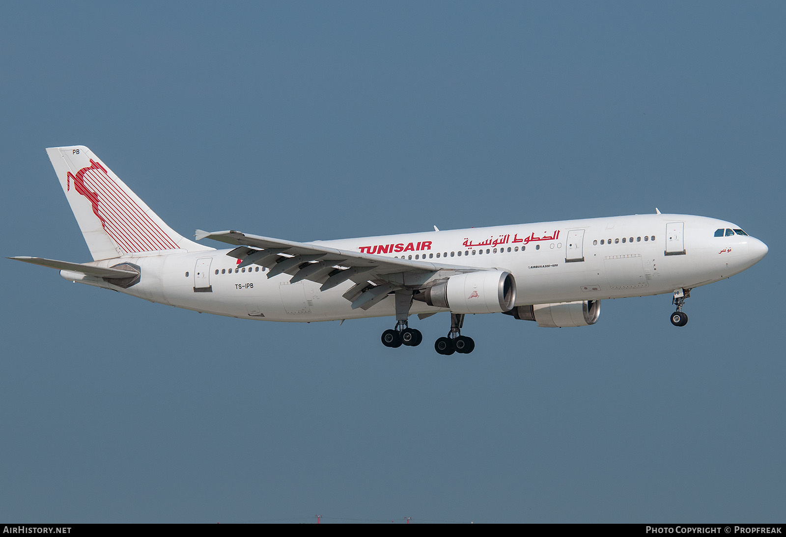 Aircraft Photo of TS-IPB | Airbus A300B4-605R | Tunisair | AirHistory.net #763964