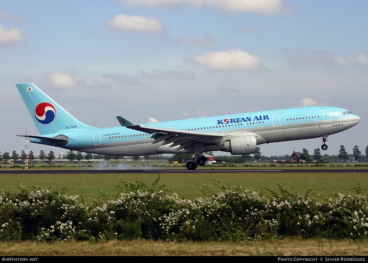 Aircraft Photo of HL7539 | Airbus A330-223 | Korean Air | AirHistory.net #764229