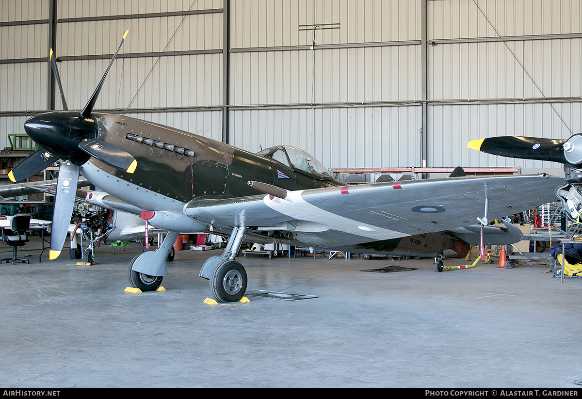 Aircraft Photo of N749DP / NX749DP / NH749 | Supermarine 379 Spitfire FR14 | Commemorative Air Force | UK - Air Force | AirHistory.net #764254