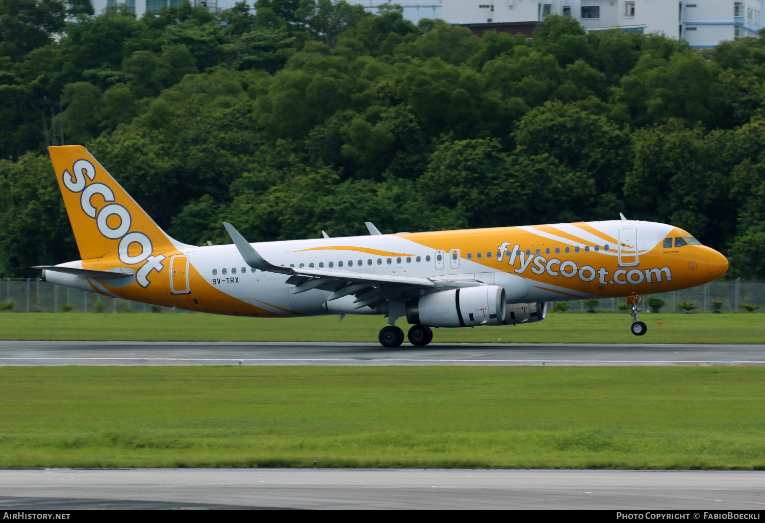 Aircraft Photo of 9V-TRX | Airbus A320-232 | Scoot | AirHistory.net #765390