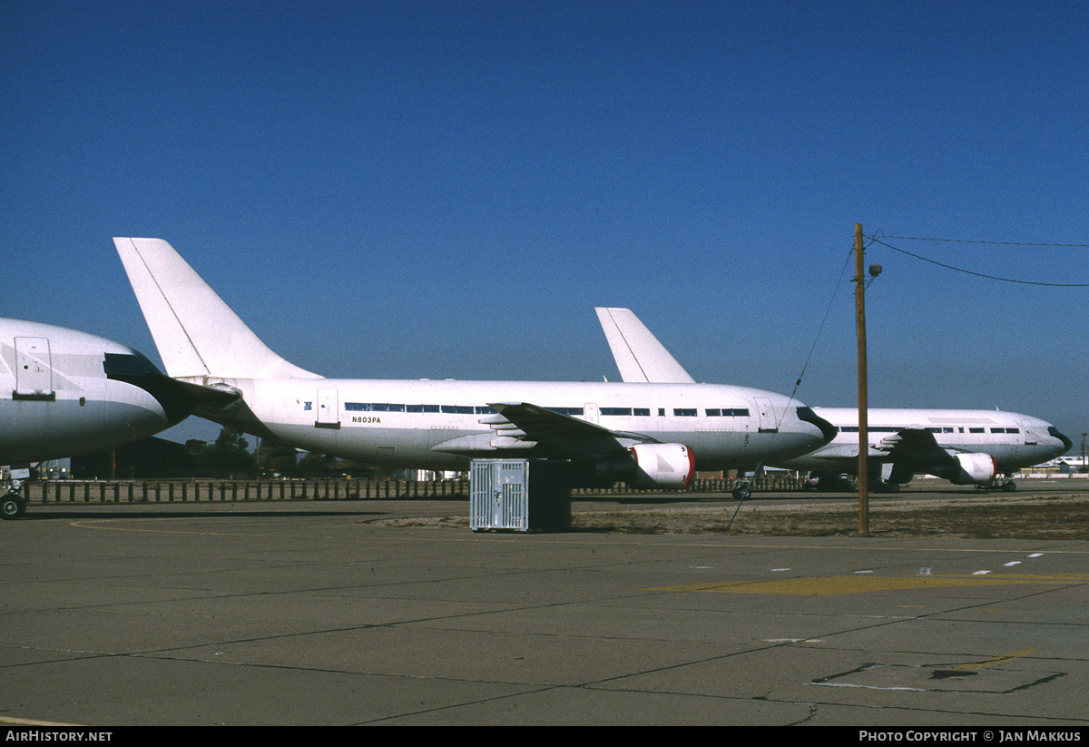 Aircraft Photo of N803PA | Airbus A310-222 | AirHistory.net #766910