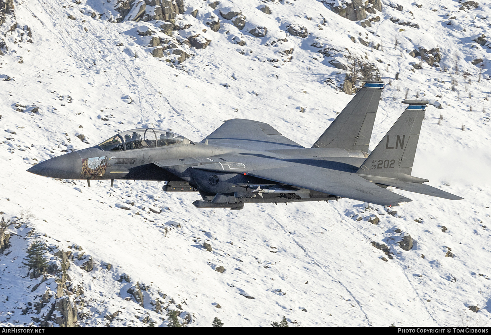 Aircraft Photo of 96-0202 / AF96-202 | Boeing F-15E Strike Eagle | USA - Air Force | AirHistory.net #768063