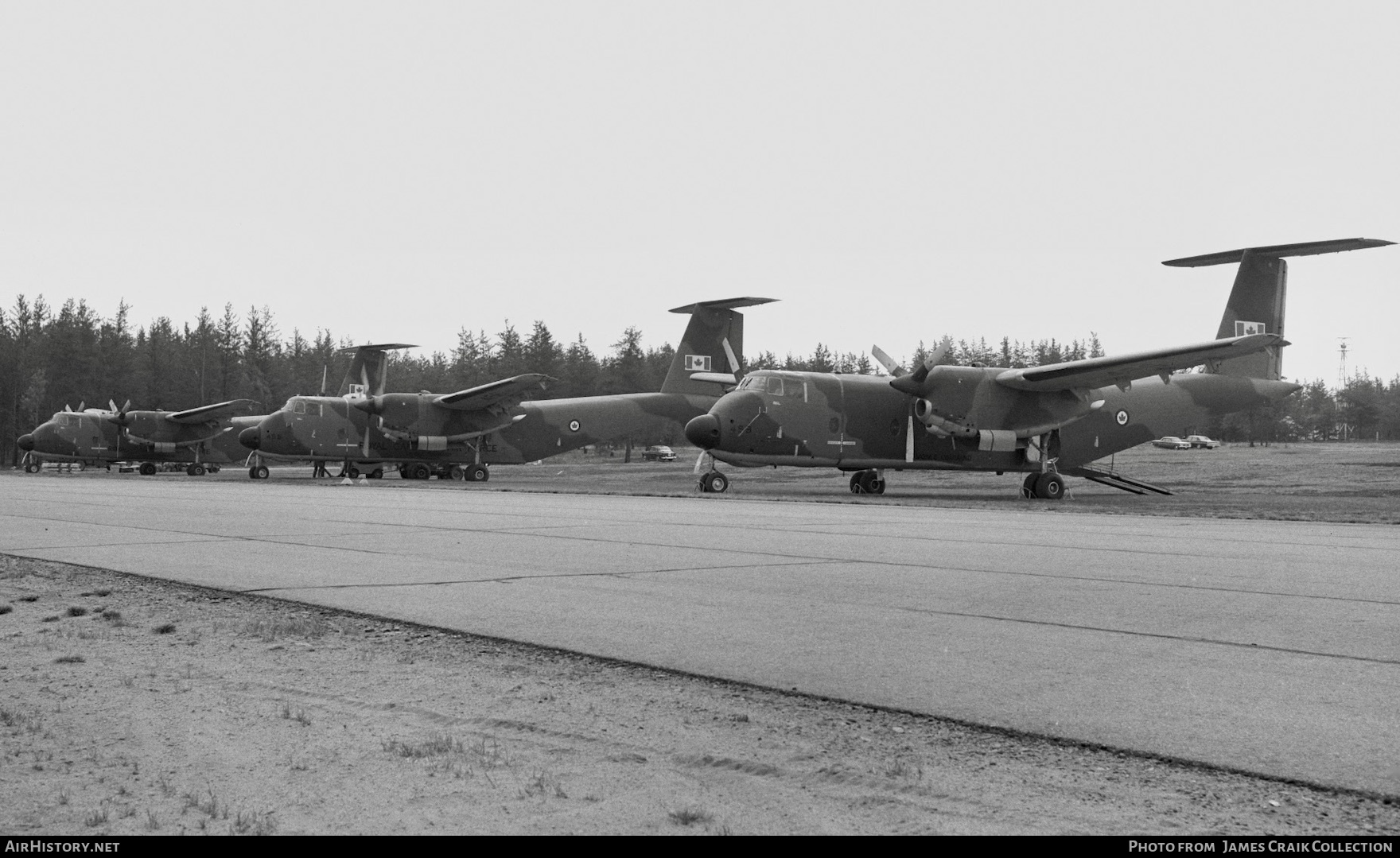 Aircraft Photo of 9459 | De Havilland Canada CC-115 Buffalo | Canada - Air Force | AirHistory.net #768336