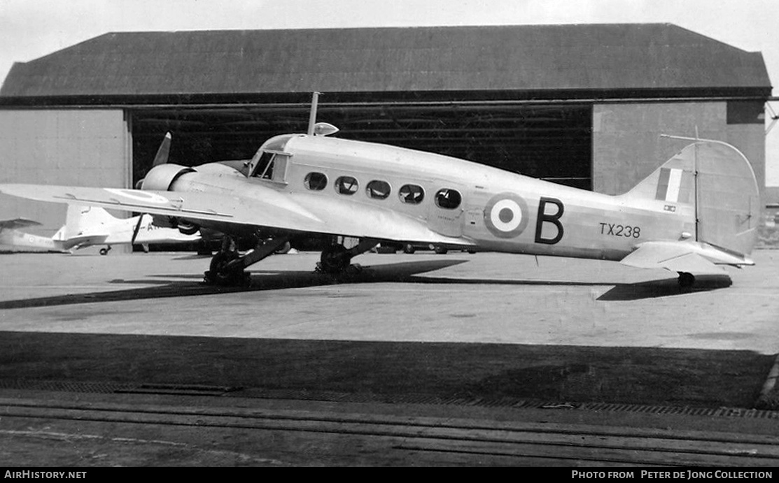 Aircraft Photo of TX238 | Avro 652A Anson C19 | UK - Air Force | AirHistory.net #768597