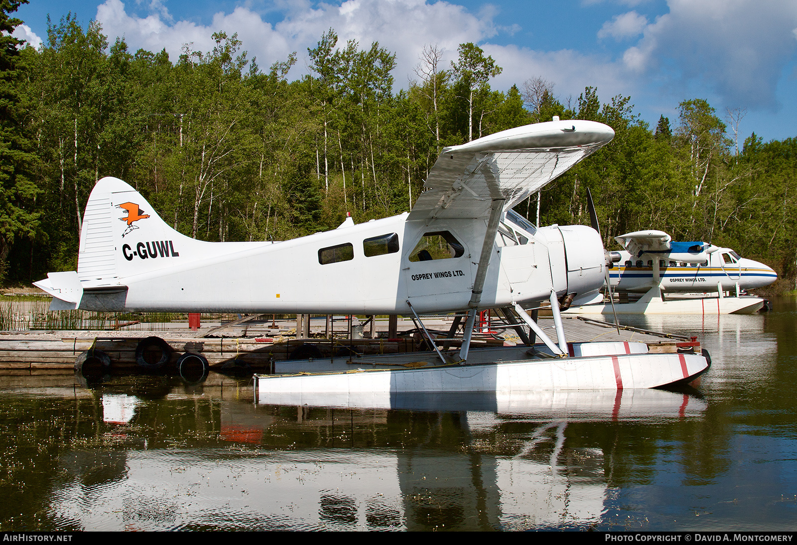 Aircraft Photo of C-GUWL | De Havilland Canada DHC-2 Beaver Mk.1 | Osprey Wings | AirHistory.net #769271