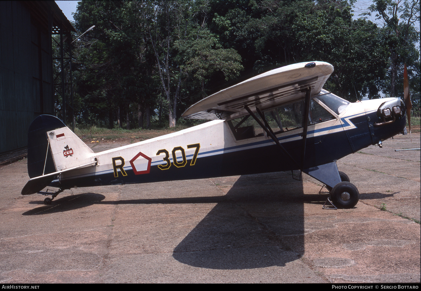 Aircraft Photo of R-307 | Piper L-4J Cub | Indonesia - Air Force | AirHistory.net #769329