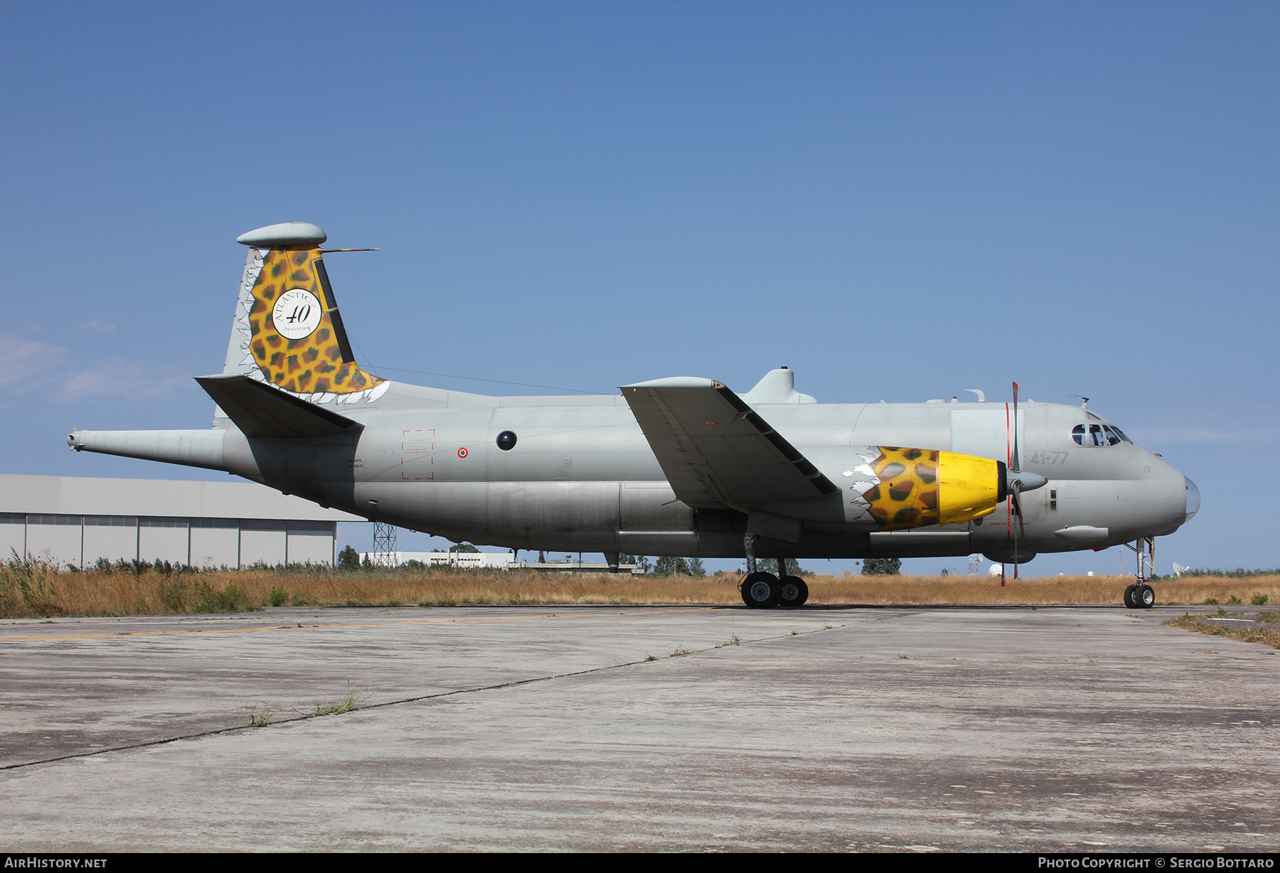 Aircraft Photo of MM40115 | Dassault 1150 Atlantic | Italy - Air Force | AirHistory.net #769778