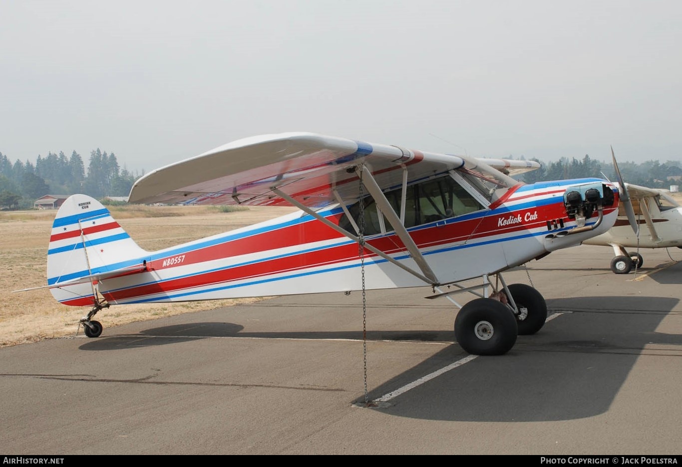 Aircraft Photo of N80557 | Kodiak Cub | AirHistory.net #771252