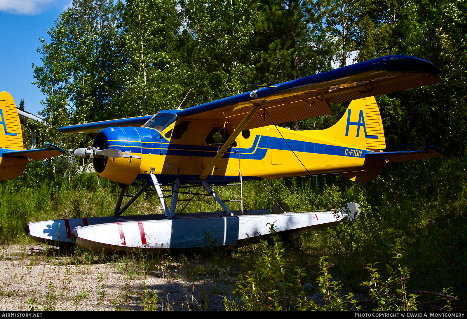 Aircraft Photo of C-FIDM | De Havilland Canada DHC-2 Beaver Mk.1 | HAL - Horne Air | AirHistory.net #771282
