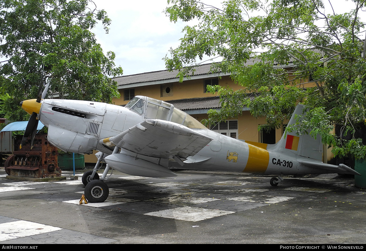 Aircraft Photo of CA310 | Boulton Paul P-108 Balliol T2 | Ceylon - Air Force | AirHistory.net #771556