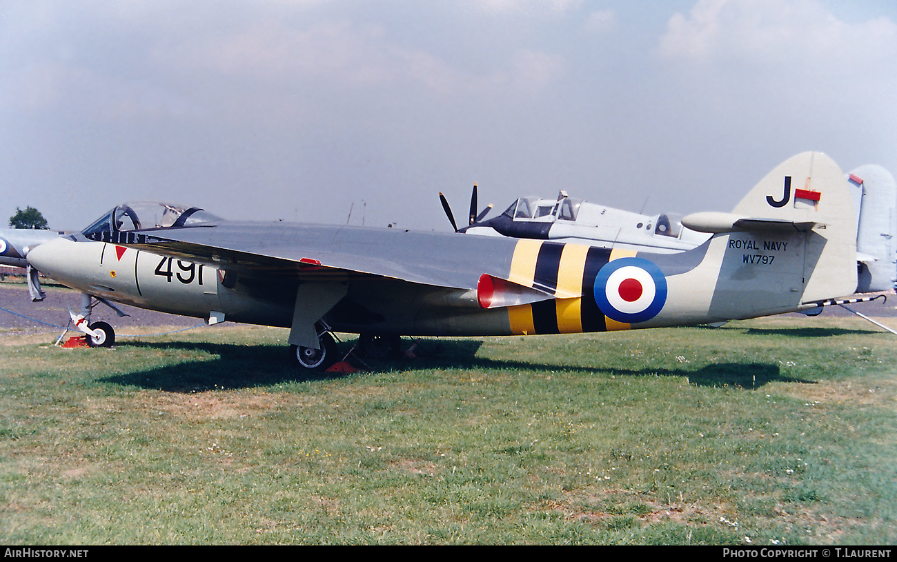 Aircraft Photo of WV797 | Hawker Sea Hawk FGA6 | UK - Navy | AirHistory.net #771712