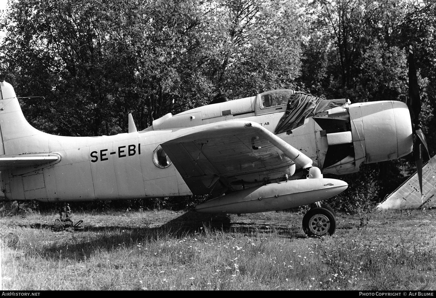 Aircraft Photo of SE-EBI | Douglas AD-4W Skyraider | Svensk Flygtjänst | AirHistory.net #772203