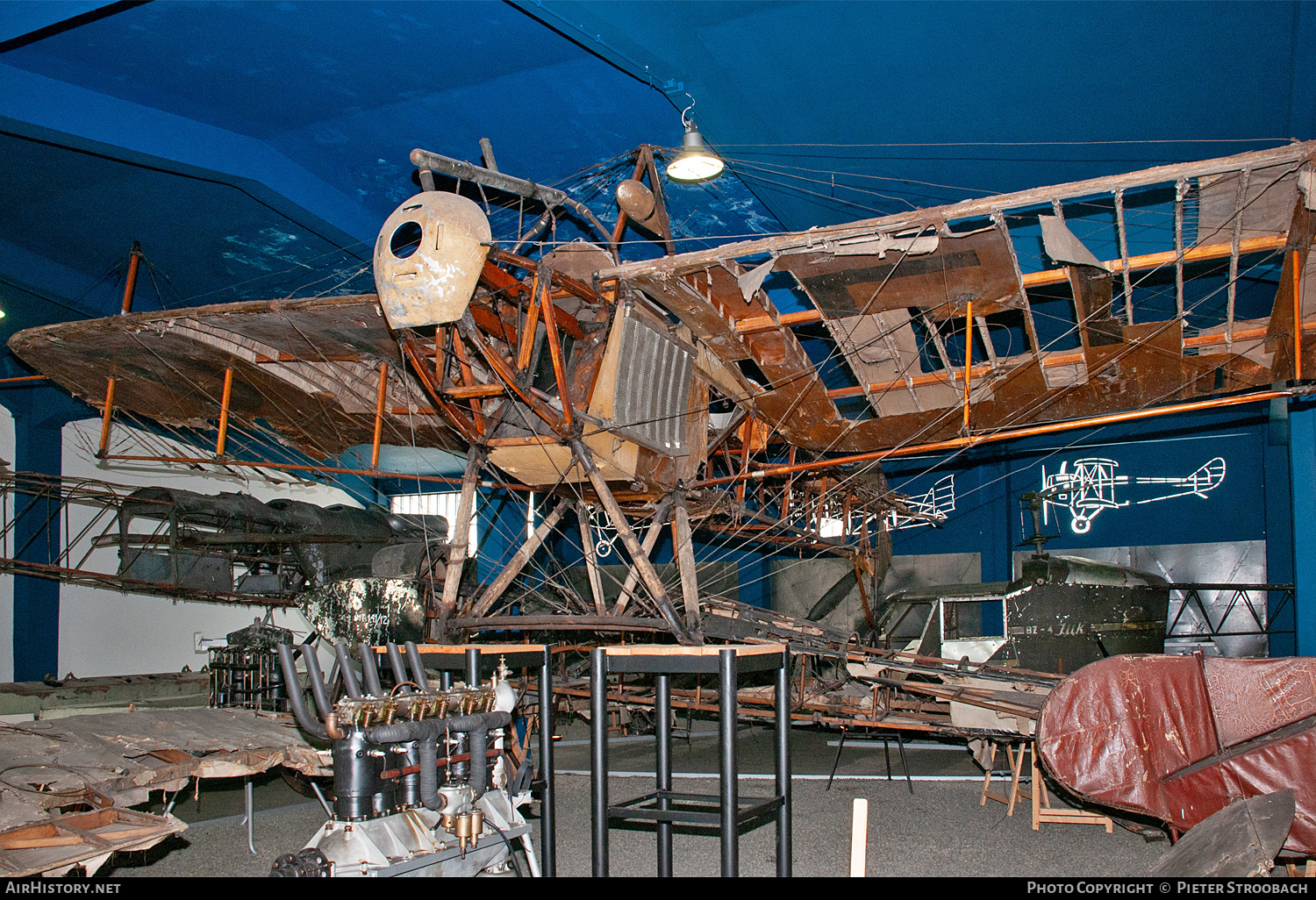 Aircraft Photo of D-EFRI | Etrich Taube | AirHistory.net #773091