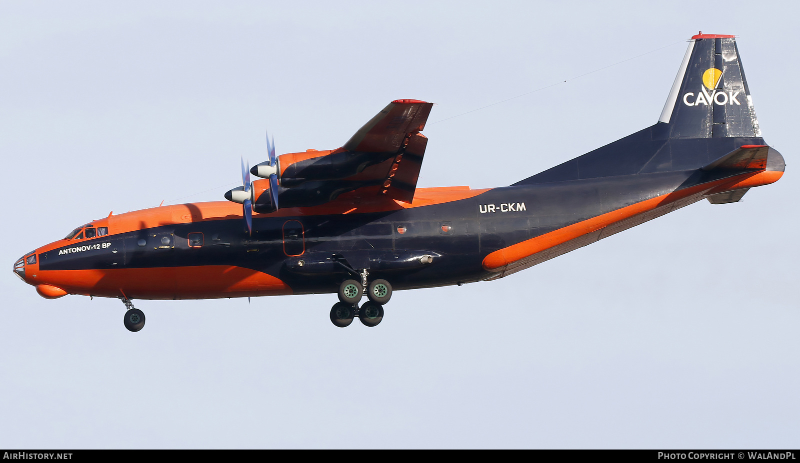 Aircraft Photo of UR-CKM | Antonov An-12BP | Cavok Air | AirHistory.net #773951