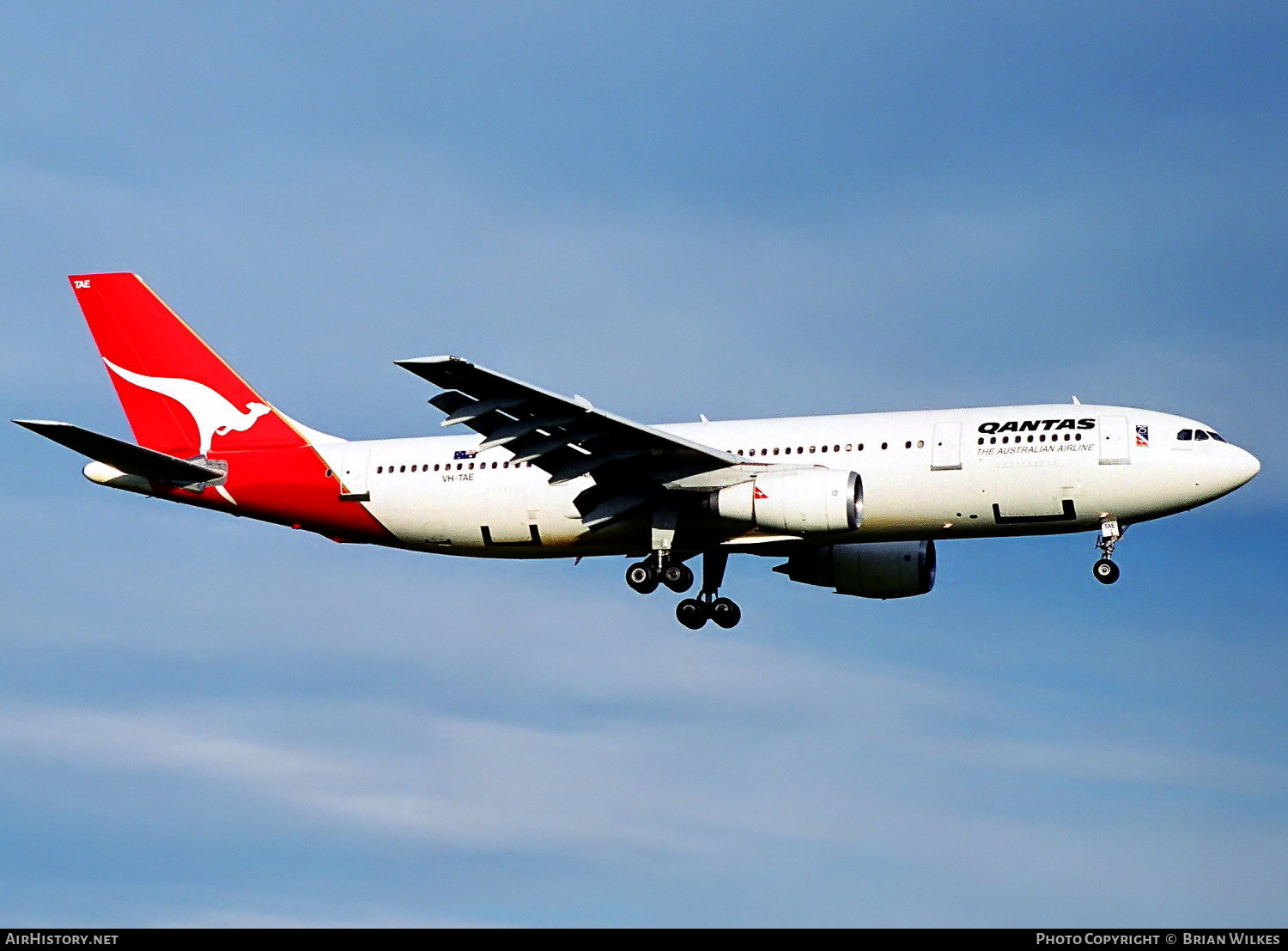 Aircraft Photo of VH-TAE | Airbus A300B4-203 | Qantas | AirHistory.net #774088