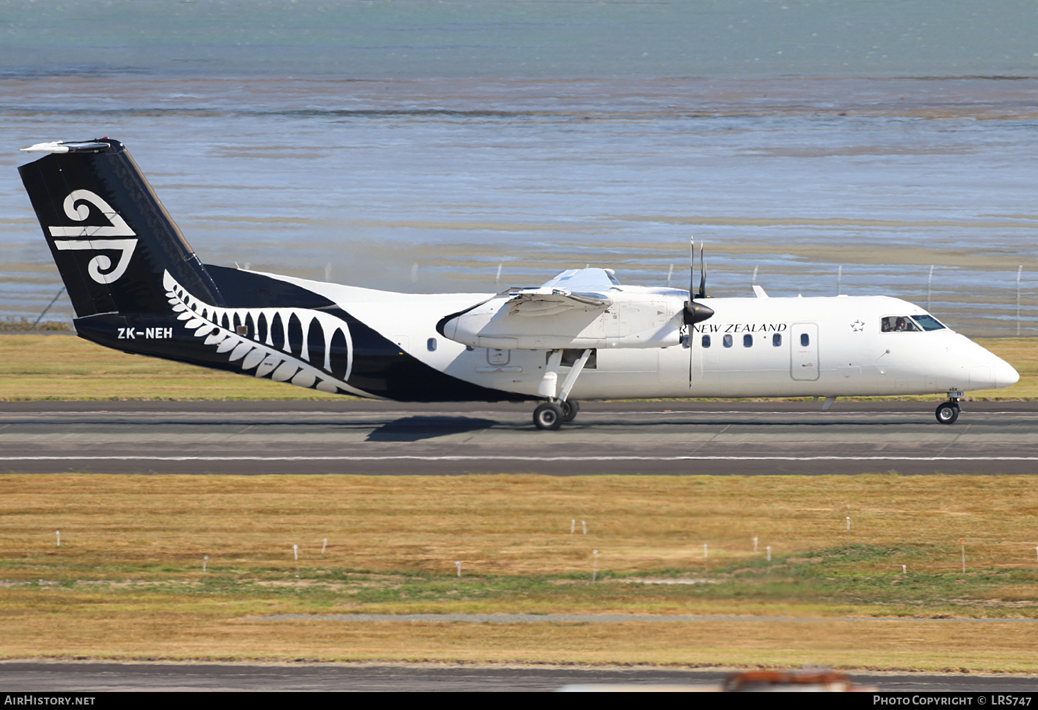 Aircraft Photo of ZK-NEH | Bombardier DHC-8-311Q Dash 8 | Air New Zealand | AirHistory.net #774400