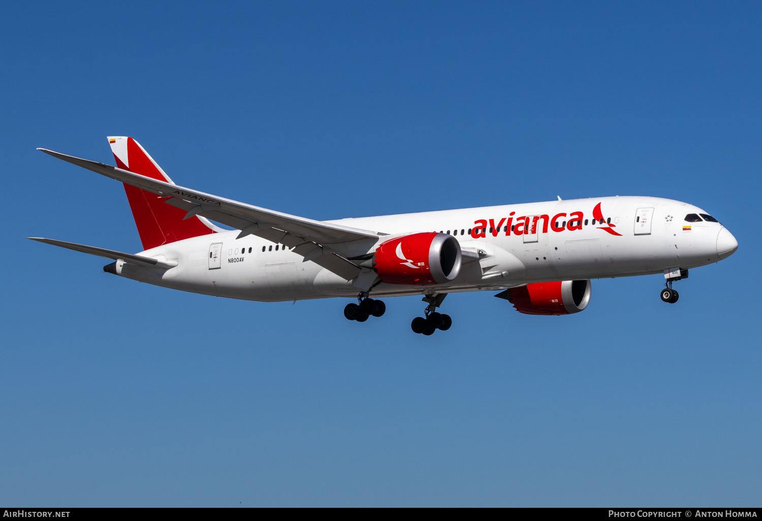 Aircraft Photo of N800AV | Boeing 787-8 Dreamliner | Avianca | AirHistory.net #775442