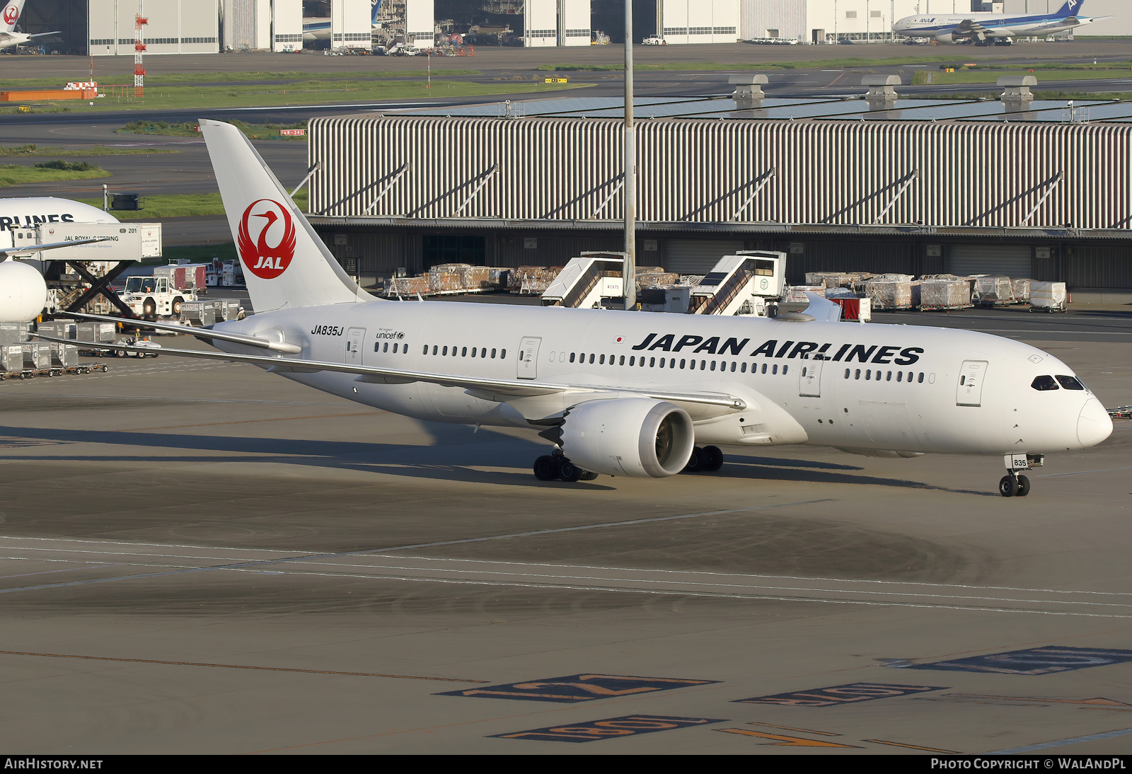 Aircraft Photo of JA835J | Boeing 787-8 Dreamliner | Japan Airlines - JAL | AirHistory.net #777780