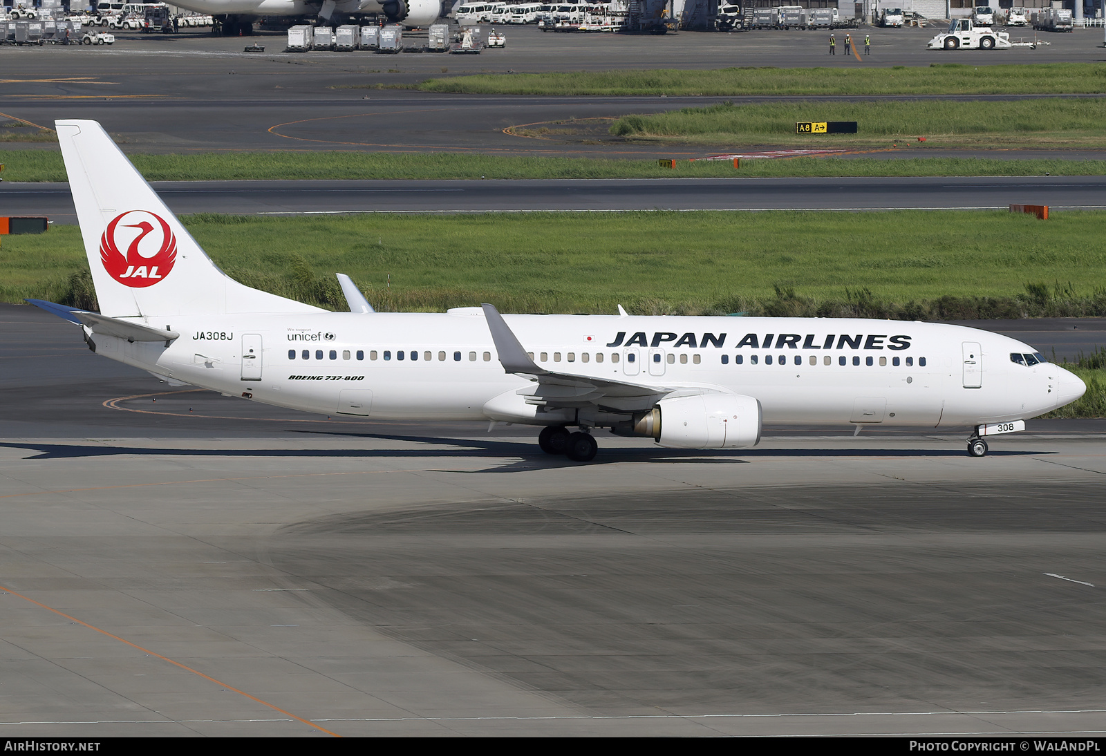 Aircraft Photo of JA308J | Boeing 737-846 | Japan Airlines - JAL | AirHistory.net #777847