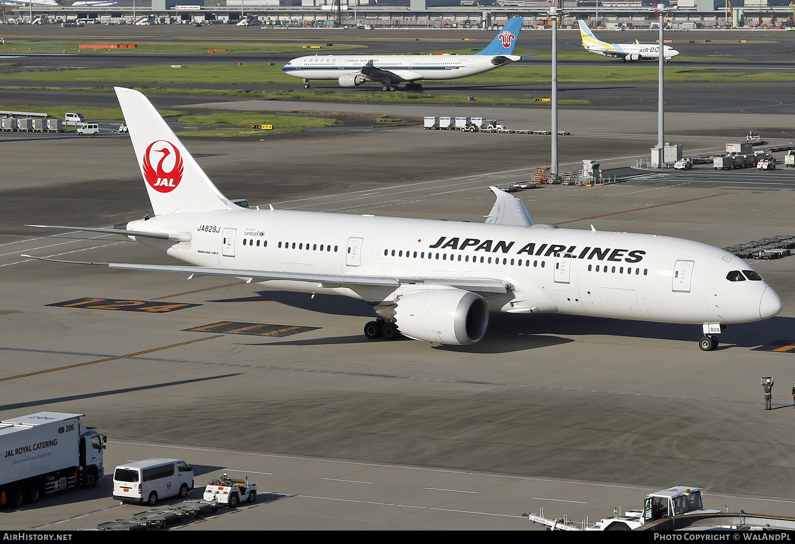 Aircraft Photo of JA829J | Boeing 787-8 Dreamliner | Japan Airlines - JAL | AirHistory.net #777858
