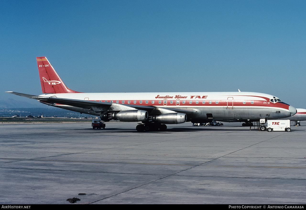 Aircraft Photo of EC-CDC | Douglas DC-8-33 | TAE - Trabajos Aéreos y Enlaces | AirHistory.net #778221