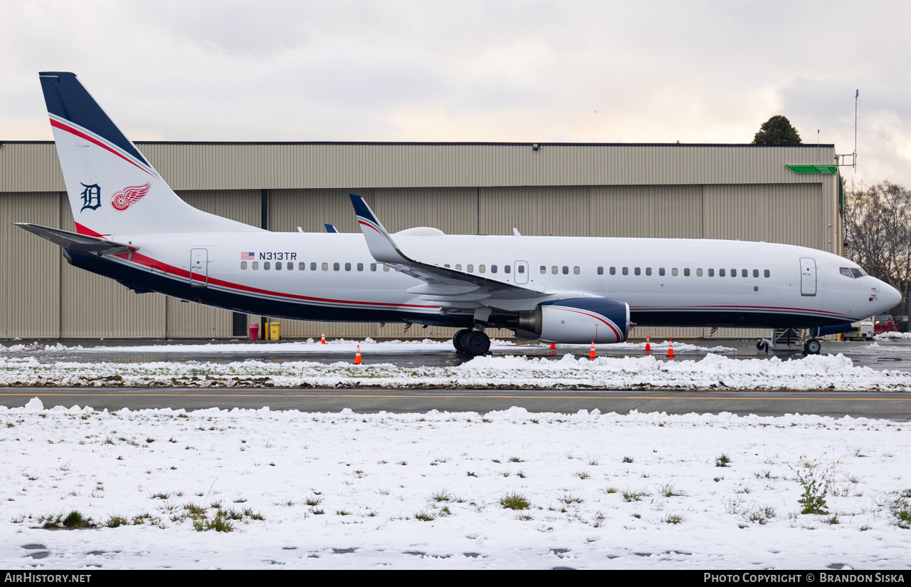 Aircraft Photo of N313TR | Boeing 737-8HX | Detroit Red Wings/Tigers | AirHistory.net #779372