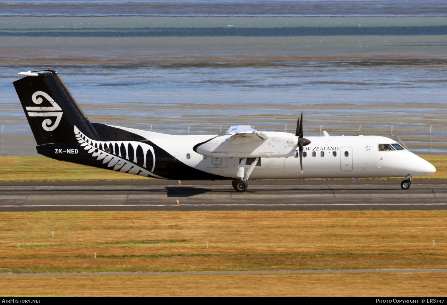 Aircraft Photo of ZK-NED | Bombardier DHC-8-311Q Dash 8 | Air New Zealand | AirHistory.net #780248